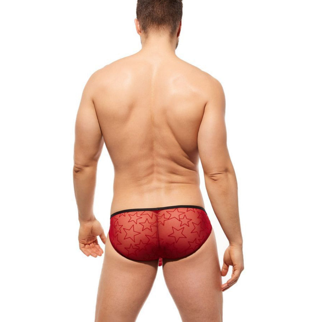 Gregg Homme - Starr Brief - Red