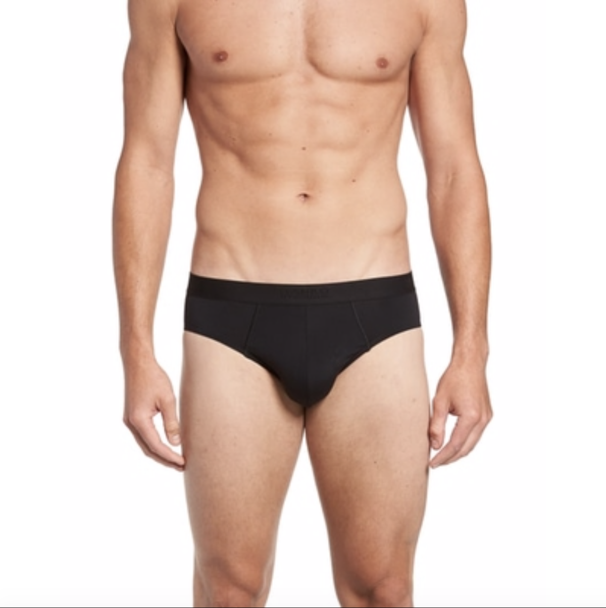 Hanro Micro Touch Brief