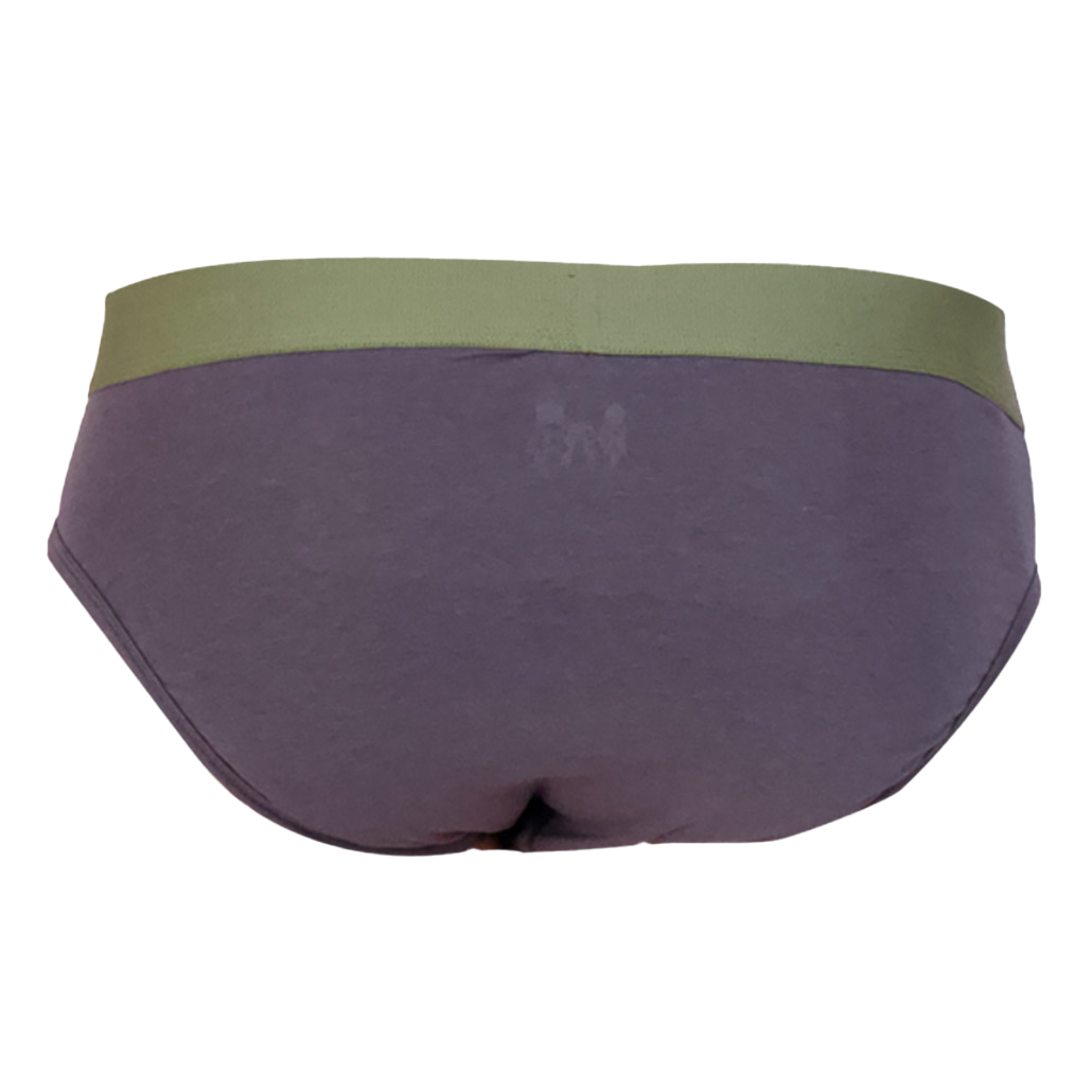 Wood - Modal Hip Brief - Iron