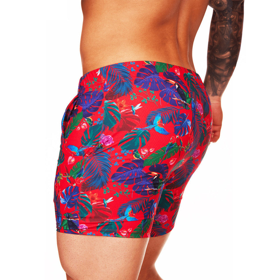 GIGO - Swim Short - Macaws Red
